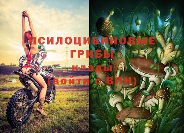 индика Аркадак