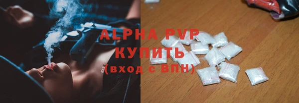 индика Аркадак