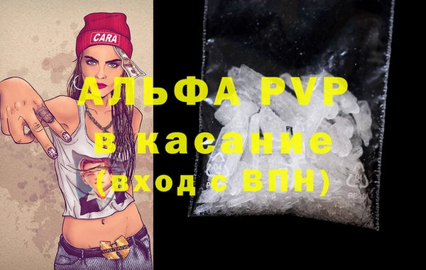 индика Аркадак