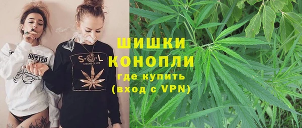 индика Аркадак