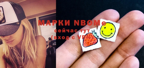 индика Аркадак