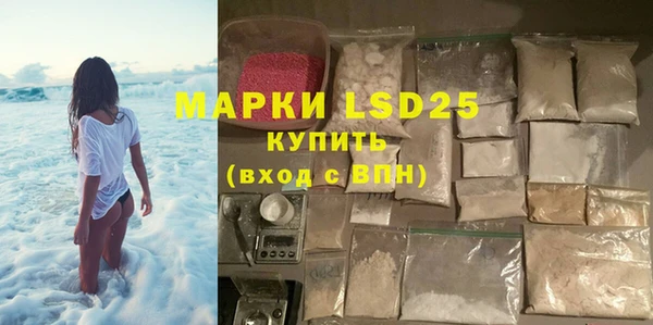 индика Аркадак