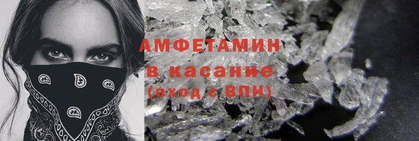 индика Аркадак