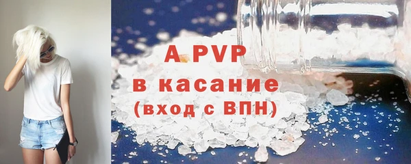 индика Аркадак