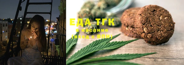 индика Аркадак