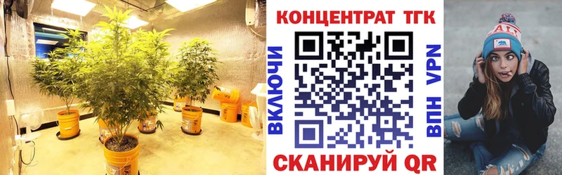 ТГК жижа  Пудож 
